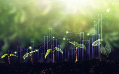 O agronegócio e o mercado financeiro